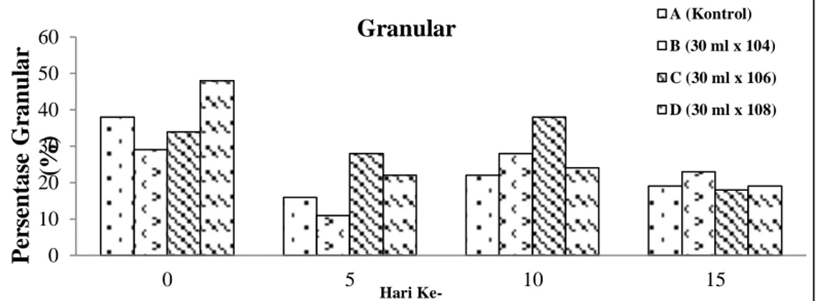 Gambar  5.  Sel  granular  (Perbesaran  40x) 