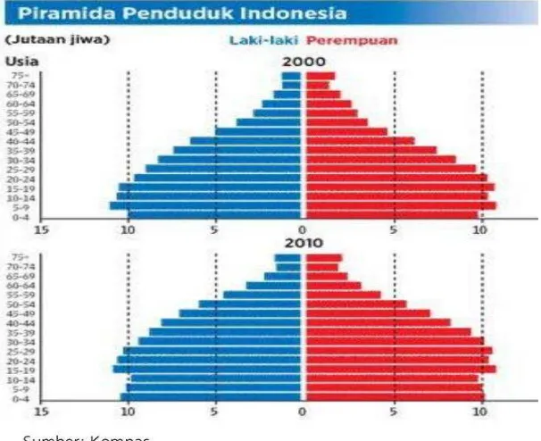 Tabel.1. Tingkat harapan hidup di Indonesia 