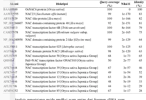 Tabel 4 Homologi residu prediksi asam amino dari OsNAC6 yang diisolasi dari 