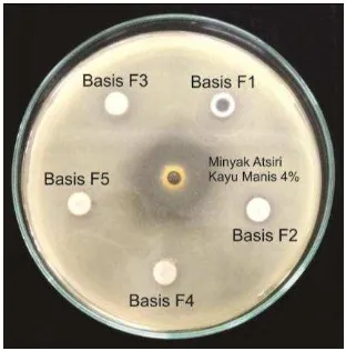 Gambar 2.  Hasil uji aktivitas antibakteri basis gel-cream menunjukkan basis F1, F2, F3, F4, dan F5 tidak dapat menghambat pertumbuhan bakteri Staphylococcus epidermidis
