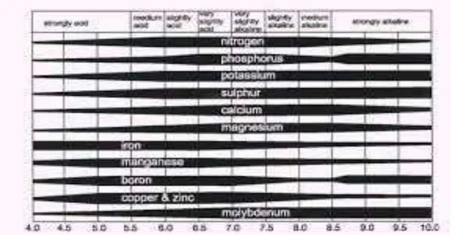 Gambar 1. Hubungan pH tanah dengan penyerapan unsur hara oleh tanaman 