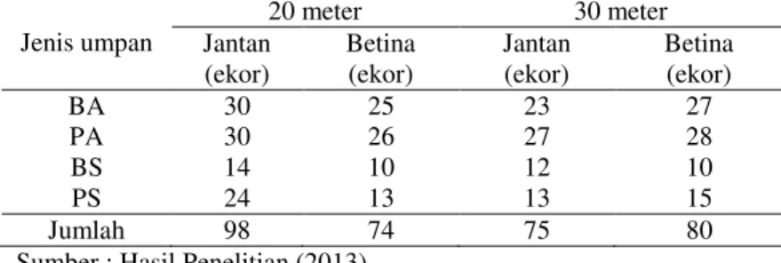 Tabel 5. Jenis Kelamin Rajungan yang Tertangkap Selama Penelitian  Jenis umpan  20 meter  30 meter  Jantan  (ekor)  Betina (ekor)  Jantan (ekor)  Betina (ekor)  BA  30  25  23  27  PA  30  26  27  28  BS  14  10  12  10  PS  24  13  13  15  Jumlah  98  74 