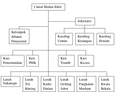Gambar 2.2 Struktur Organisasi Kecamatan Medan Johor 