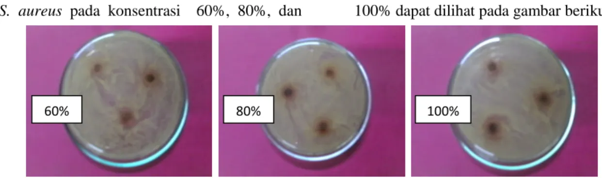 Gambar 3. Diameter zona hambat S.aureus ekstrak air bunga kecombrang konsentrasi 60%, 80% dan 100%