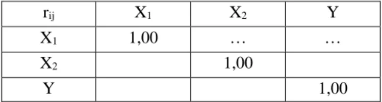 Tabel 3.11  Matriks Korelasi  r ij X 1 X 2 Y  X 1 1,00  …  …  X 2 1,00  Y  1,00 