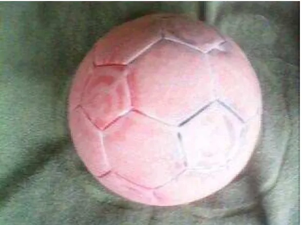 Gambar 1.  Bola yang terbuat dari plastik untuk Penelitiann pada