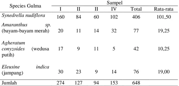 Tabel 3. Beberapa species  gulma sebelum  percobaan  di mulai 