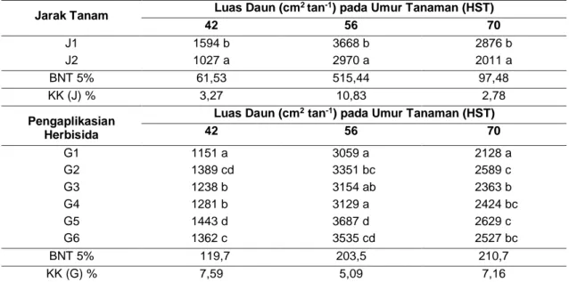 Tabel 5.  Pengaruh  Pengaplikasian  Herbisida    dan  Jarak  Tanam  terhadap  Luas  Daun  pada  Umur Tanaman 42, 56 dan 70 HST