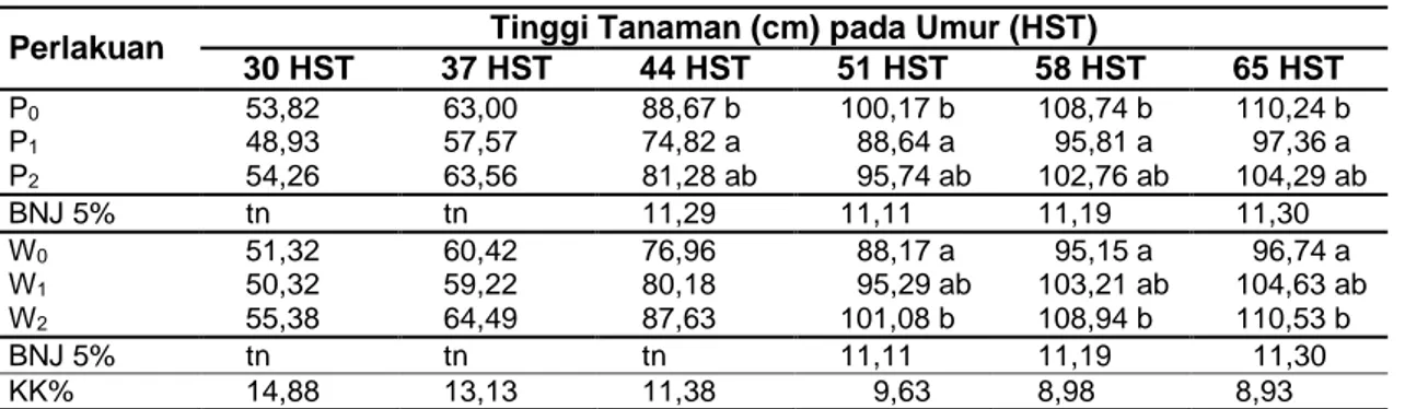 Tabel 4 menjelaskan bahwa perlakuan  penyiangan  (P)  pada  30  HST  tidak  berpengaruh nyata pada bobot kering gulma