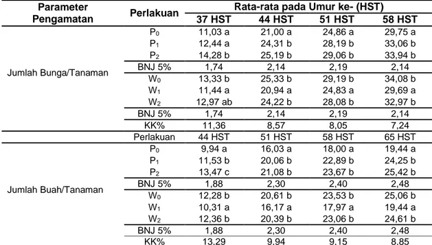 Tabel  11  pada  perlakuan  P 2 W 2 memiliki  bobot  buah/tanaman  lebih  tinggi  dibandingkan  dengan  perlakuan  yang  lain