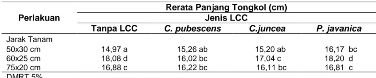 Tabel  5  Rerata  panjang  tongkol  jagung  akibat  interaksi  perlakuan  kerapatan  jarak  tanam  