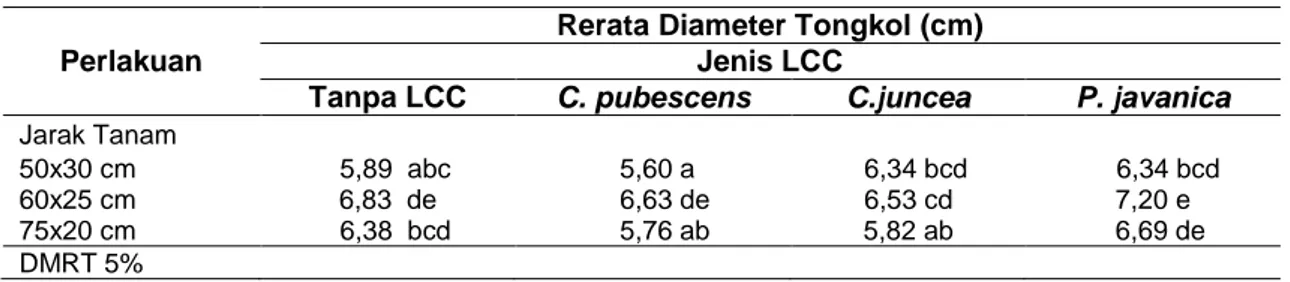 Tabel  6    Rerata  diameter  tongkol  jagung  akibat  interaksi  perlakuan  kerapatan  jarak  tanam  