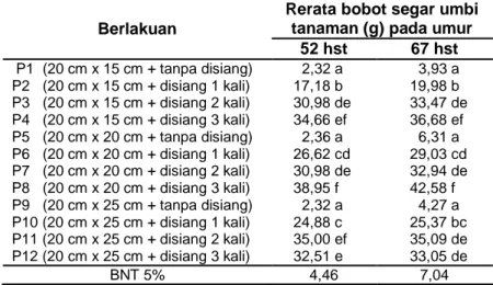 Tabel  6  Rerata  Bobot  Segar  Umbi  Pada  Berbagai  Frekuensi  Penyiangan  Gulma  dan  Jarak  Tanam 
