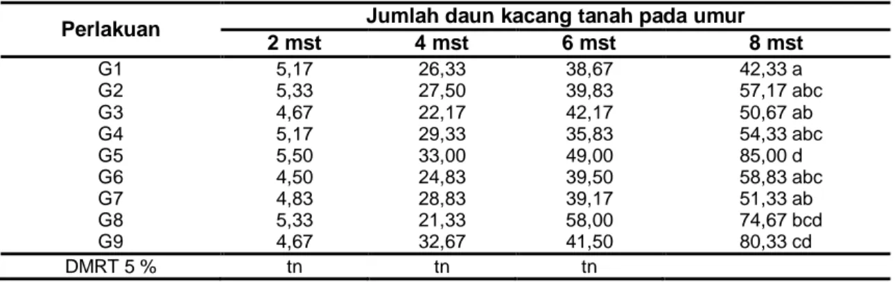 Tabel 3 Rerata Jumlah Daun Kacang Tanah Akibat Perlakuan Waktu Penyiangan Gulma  Perlakuan  Jumlah daun kacang tanah pada umur 