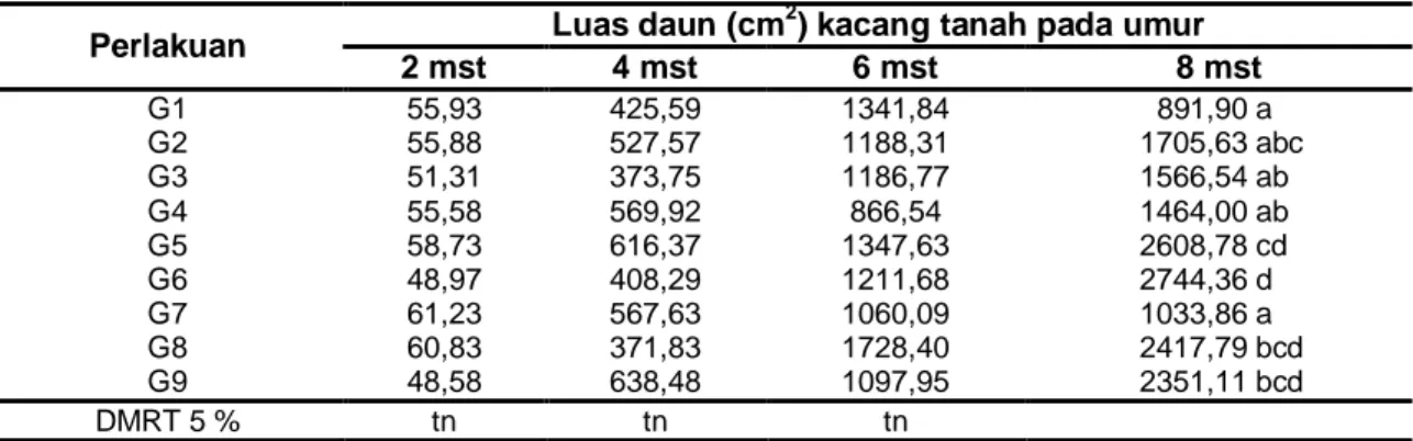 Tabel 4 Rerata Luas Daun (cm 2 ) Kacang Tanah Akibat Perlakuan Waktu Penyiangan Gulma 