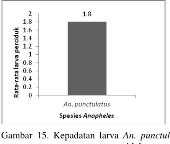 Gambar 12. Jenis habitat perkembangbiakan  An.  punctulatus  di  sungai  kecil  pada ketinggian 200-400 m dpl  