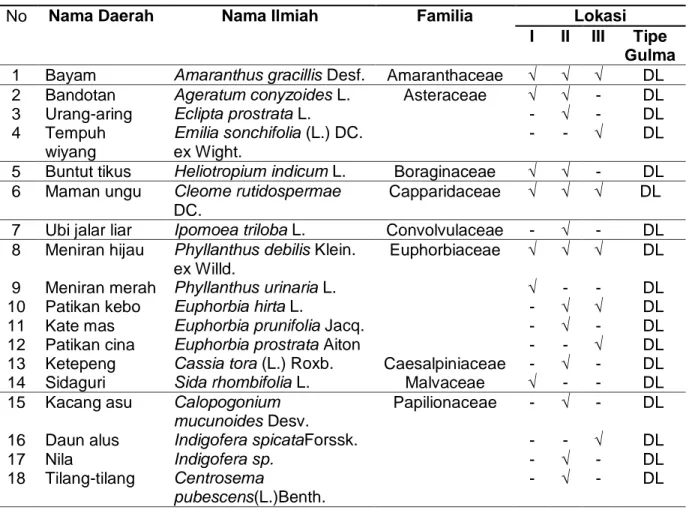 Tabel  2.  Daftar  Spesies  Gulma  Pada  Lahan  Tanaman  Talas  Jepang  di  Desa  CongkoKecamatan Marioriwawo,  Kabupaten Soppeng 