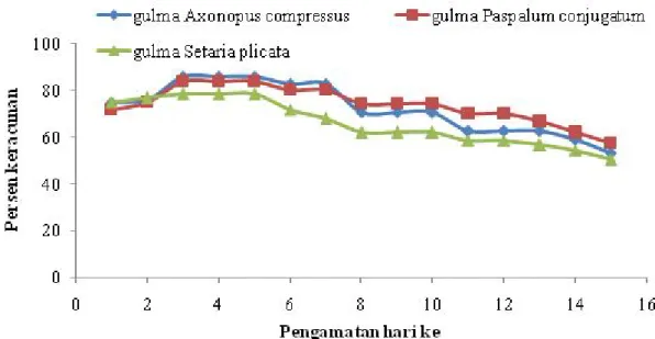 Gambar 4.  Keracunan gulma daun lebar akibat aplikasi cairan ferementasi pulp kakao pada 1 HSA – 15 HSA