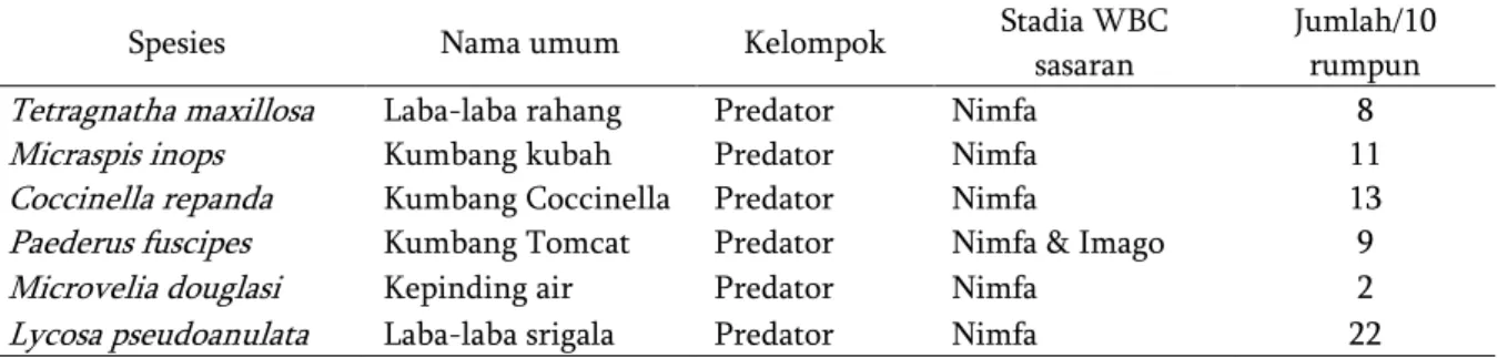 Tabel 3. Spesies-spesies predator serangga hama WBC. 