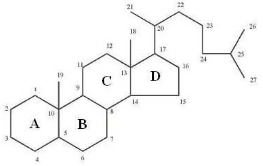 Gambar 1. Struktur dari beberapa senyawa triterpenoida 