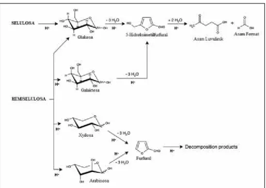 Gambar 2.4. Reaksi Hidrolisis Menggunakan Asam (H + ).