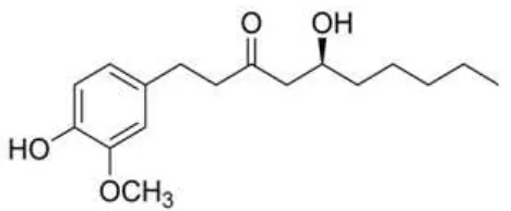 Gambar 2. Struktur kimia gingerol (Wohlmuth, et al., 2005) 