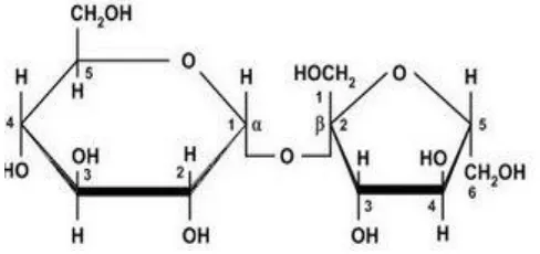 Gambar 2. Struktur kimia sukrosa (Sumardjo, 2006). 