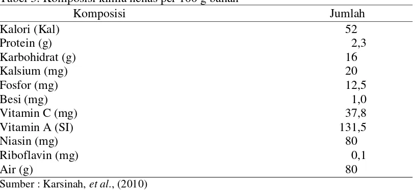 Tabel 3. Komposisi kimia nenas per 100 g bahan 