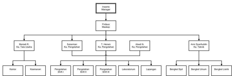 Gambar 5-1: Struktur Organisasi PKS Tg Seumantoh, NAD  Sumber: Data Utama Hasil Penelitian 