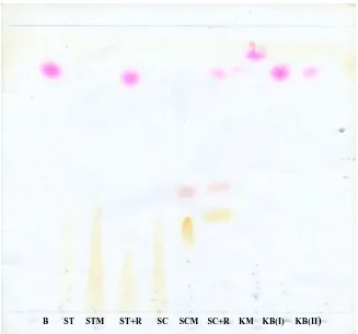 Gambar 3. Kromatogram hasil uji kualitatif rhodamin B pada sampel   
