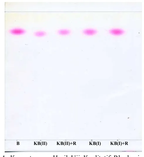 Gambar 4. Kromatogram Hasil Uji Kualitatif Rhodamin B pada Sampel dengan penambahan baku Rhodamin B  