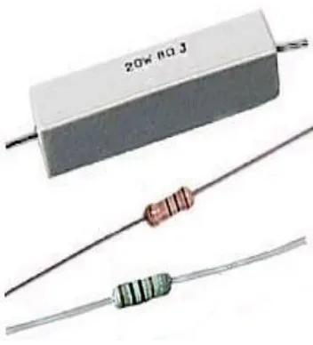 Gambar  2  : Wujud fisik resistor.