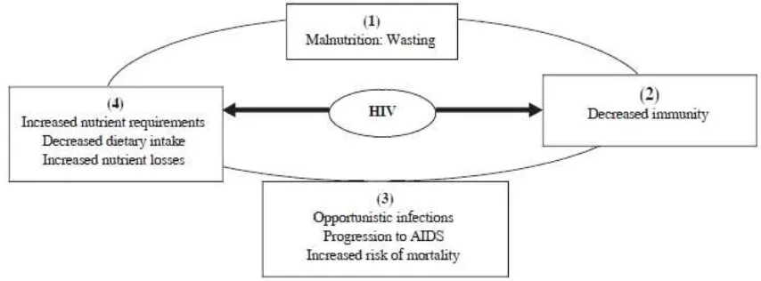 Gambar 2-1. Hubungan antara infeksi HIV/AIDS, malnutrisi, dan infeksi.10 