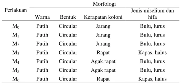 Tabel 2. Morfologi isolat mutan S. rolfsii secara makroskopis  Perlakuan  