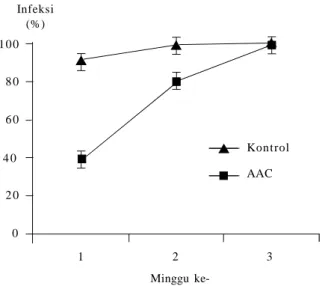 Gambar  4.  Pengaruh AAC  terhadap  persentase  serangan Fusarium verticillioides yang  diaplikasikan  melalui  benih  jagung
