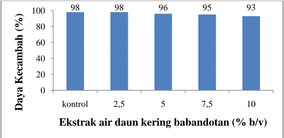 Gambar 1. Persentase Benih Padi Gogo Inpago 8 yang Berkecambah setelah  Perlakuan Ekstrak Air Daun Kering Babandotan 