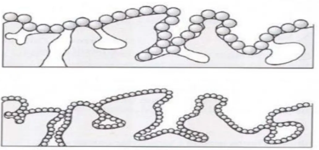 Gambar 2.4. Skema Adsorbsi gas pada permukaan pori material dengan perbedaan ukura  molekul gas (Schubert and Husing, 2006) 