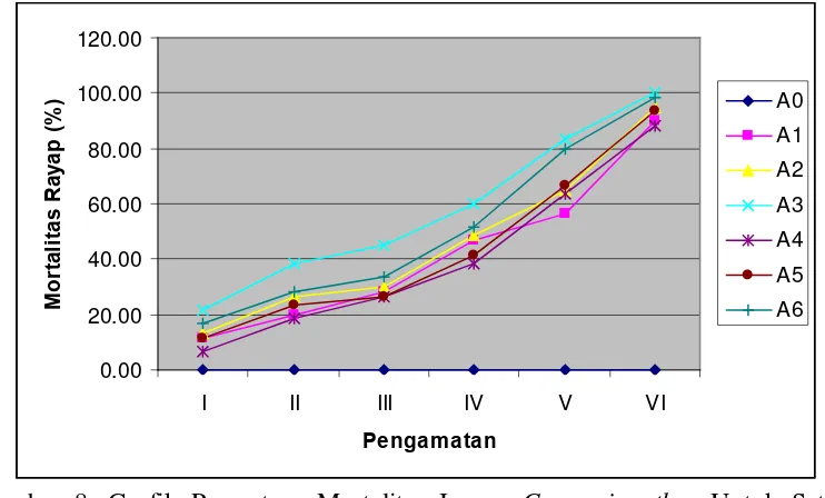 Gambar 8. Grafik Presentase Mortalitas Imago  C. curvignathus Untuk Setiap Waktu Pengamatan 