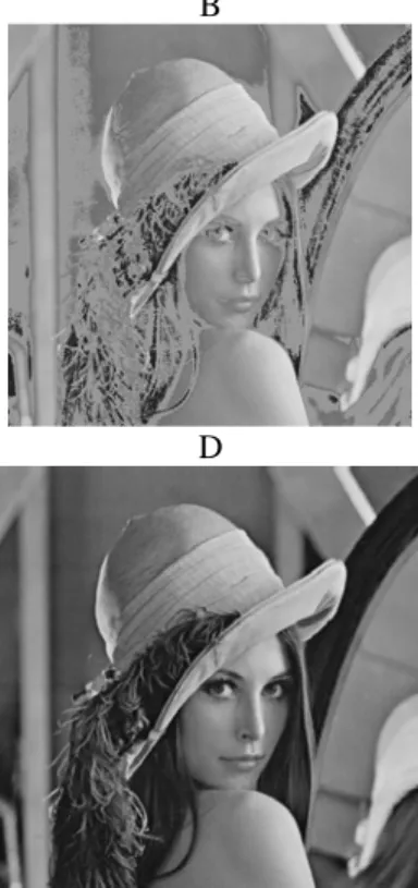 Gambar 10. Citra A hasil dari proses log transforms, citra B bentukan dari proses intensity  sliced, citra C merupakan hasil dari proses histogram equalized, dan citra D merupakan bentuk 