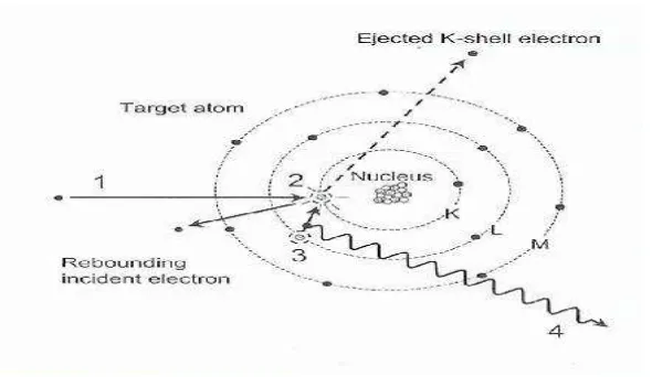 Gambar II.2. Proses terjadinya radiasi sinar-X karakteristik(1)(Sumber : The Essential Physics of Medical Imaging, Busberg,2002,hal 101)  