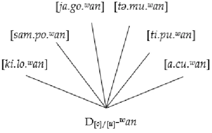 Gambar 13 Sistem Morfofonologi Perlesapan  Konsonan Glotal-Hentian [ ? ]
