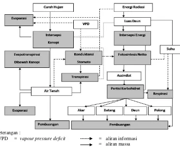 Gambar 4. Model deskriptif sistem pertumbuhan tanaman kedelai        (McMurtrie dalam Hall  et al., 1993) 