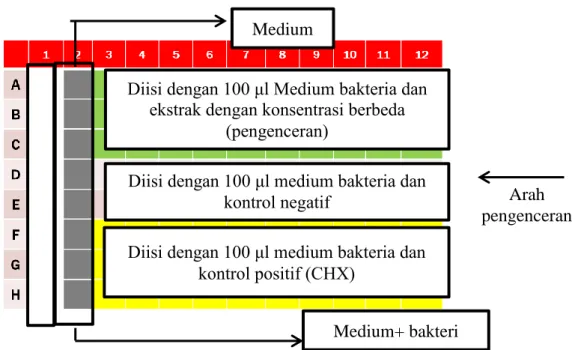 Gambar 3.1 Diagram skema MIC pada mikrotiter Medium 
