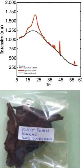 Gambar  2. Pola XRD (atas) dan foto sampel (bawah) kulit 