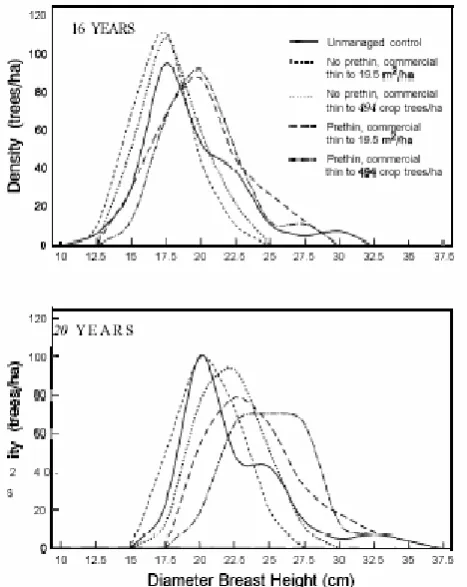 Fig. 1.  Number of trees by 2.5-cm dbh classes for the 247 largest crop pines per hectare at ages 16 and 20 years