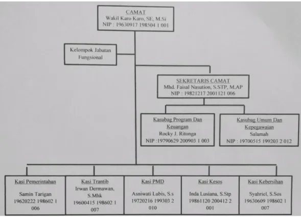 Gambar 4.3 Struktur Organisasi Kecamatan Deli Tua 