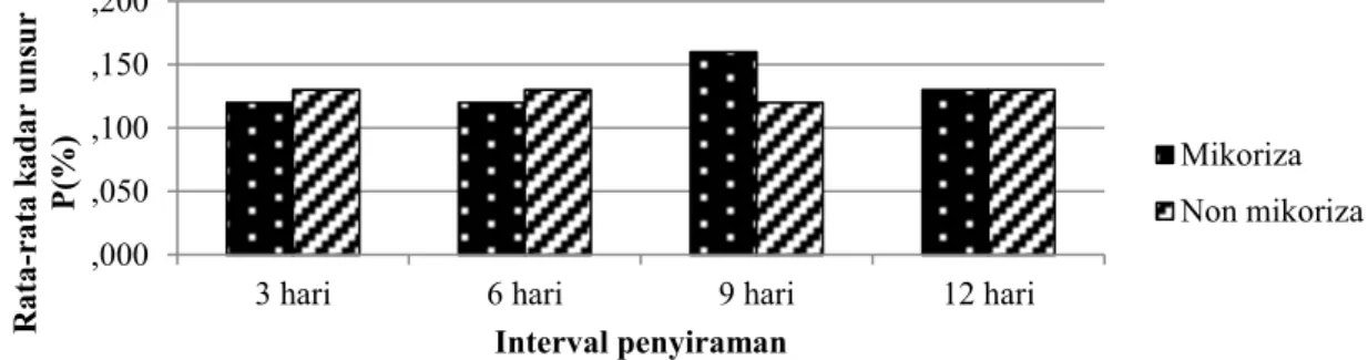 Gambar 7.   Perbandingan rata-rata kadar unsur P pada daun semai Mangium  pada berbagai taraf  perlakuan interval penyiraman 