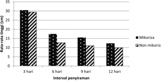Gambar 3.   Perbandingan rata-rata pertumbuhan tinggi semai Mangium umur 7 bulan pada berbagai  taraf perlakuan interval penyiraman 