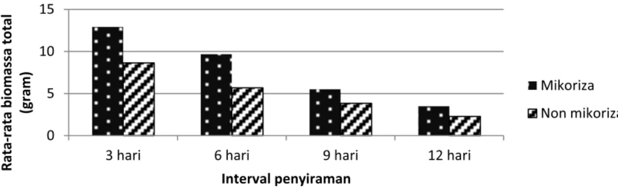 Gambar 5.   Perbandingan rata-rata pertumbuhan biomassa total semai Mangium  umur 7 bulan pada  berbagai taraf perlakuan interval penyiraman 