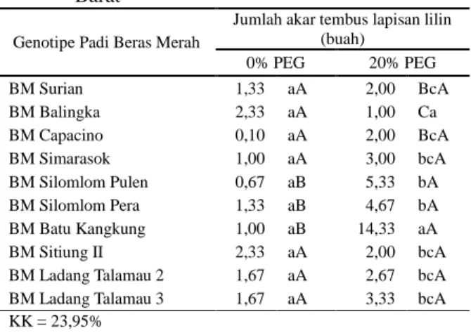 Tabel 7.  Indeks  toleransi  dan  peluang  ketahanan  sepuluh genotipe padi beras merah  terhadap  cekaman kekeringan berdasarkan jumlah akar  tembus lapisan lilin 